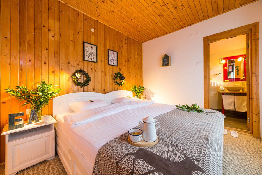 Hôtel Hadar Chalet à Buzău Extérieur photo